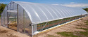 High-Tunnel Greenhouse