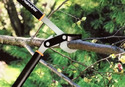 Fiskars PowerGear Lopper